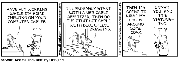 dilbert